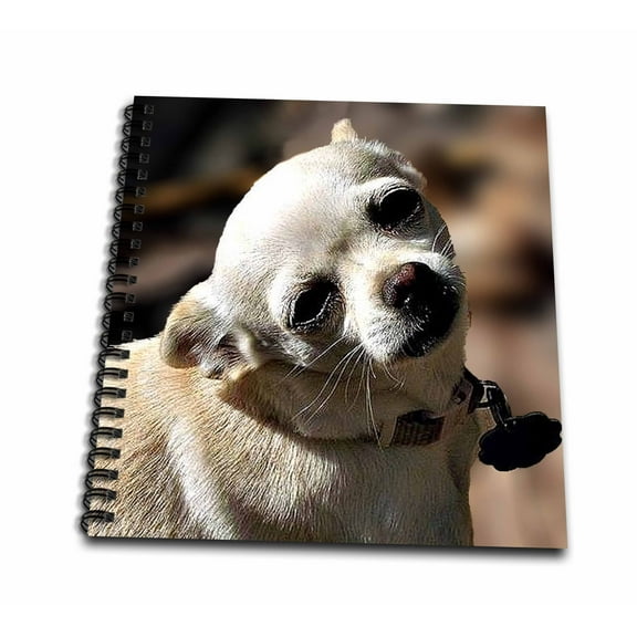 3dRose, White Chihuahua posing for photograph, Mini Notepad 4 x 4 inch
