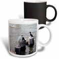 thumbnail image 1 of 3drose, White Egret at the Shore with Cormorants, 11oz Magic Transforming Mug, 1 of 7
