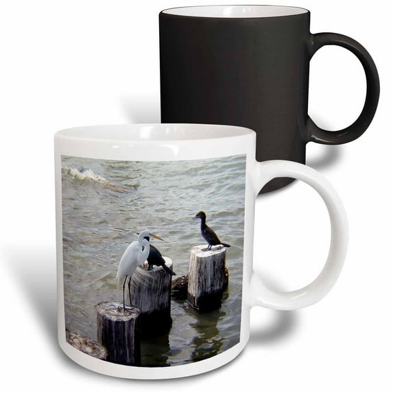 3drose, White Egret at the Shore with Cormorants, 11oz Magic Transforming Mug