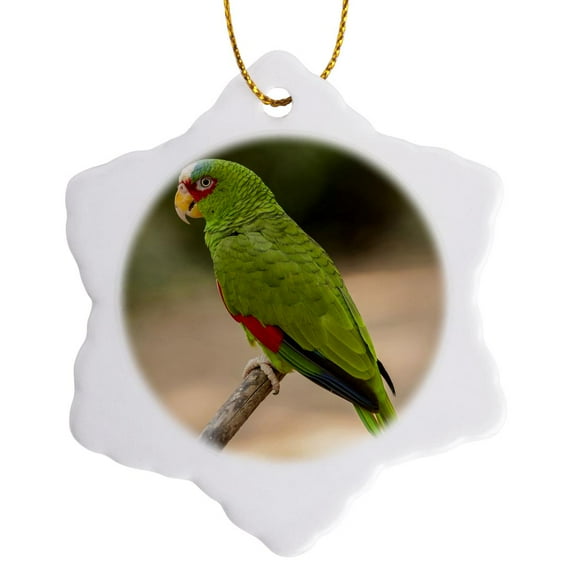 3drose, White Fronted Amazon Parrot, Honduras - Sa12 Len0003 - Lisa S. Engelbrecht, 3 inch Snowflake Porcelain Ornament