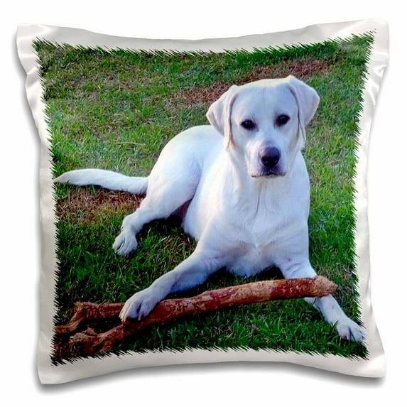 3drose, White Labrador Retriever, 16x16 inch Pillow Case