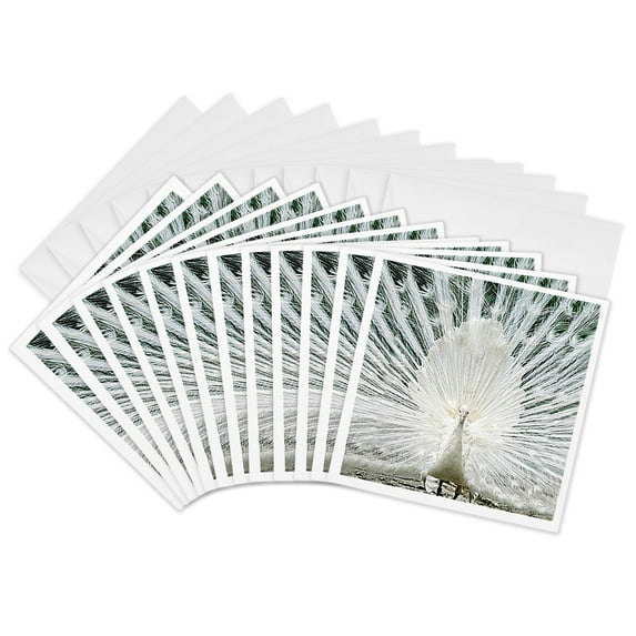 3drose, White Peacock, 12 Greeting Cards with Envelopes