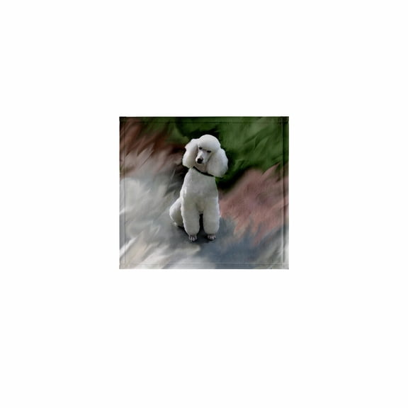 3dRose, White Poodle, 11x12 Wash Cloth for Face and Body
