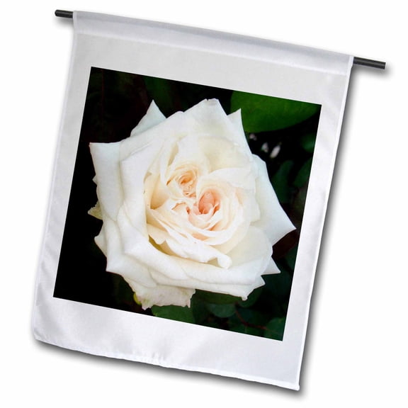 3dRose, White Rose - marriage, wedding, wedding day, save the date, engagement, bridal shower, rose, 12 x 18 inch Garden Flag