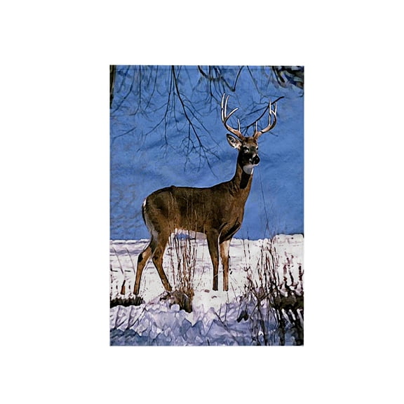3dRose, White Tailed Deer, 15x22 Hand Towel