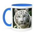 thumbnail image 1 of 3dRose, White Tiger, 11oz Two-Tone Blue Mug, 1 of 7