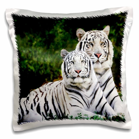 3drose, White Tigers, 16x16 inch Pillow Case