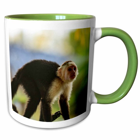 3drose, White-faced Capuchin Monkey. Roatan, Bay Islands, Honduras., 11oz Two-tone Green Mug