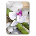 thumbnail image 1 of 3dRose, White orchid flower on green bamboo stick with pebbles, single toggle switch, 1 of 1