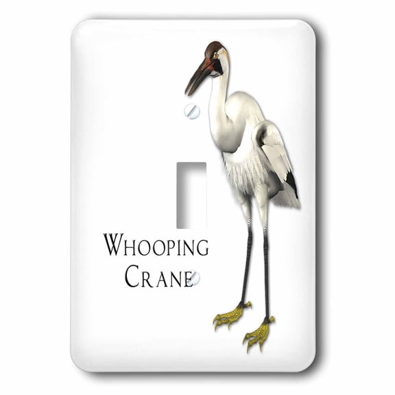 3dRose, Whooping Crane Shorebird, single toggle switch