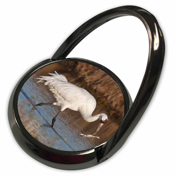 3dRose, Whooping Crane bird, Aransas Refuge, Texas, USA - US44 LDI0618 - Larry Ditto, Phone Ring