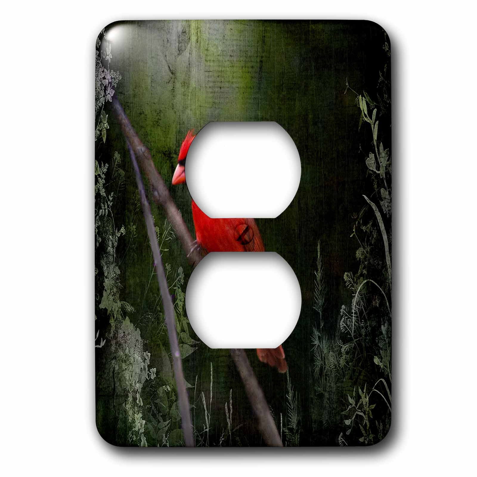 3dRose, Wild Brid - Cardinal Bird in Spring - Art Home Decor, 2 plug outlet cover