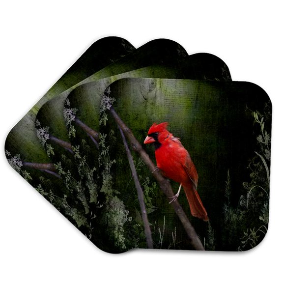 3dRose, Wild Brid - Cardinal Bird in Spring - Art Home Decor, Set of 4 Coasters - Soft