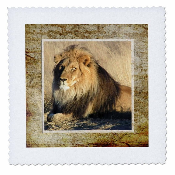 3dRose, Wild Lions , 6x6 inch quilt square