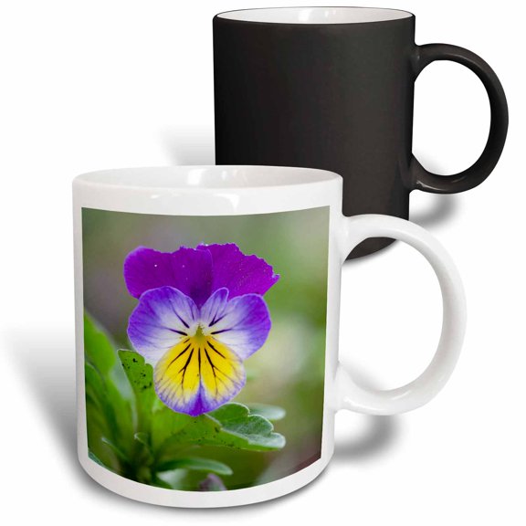 3drose, Wild Pansy. Germany, 11oz Magic Transforming Mug