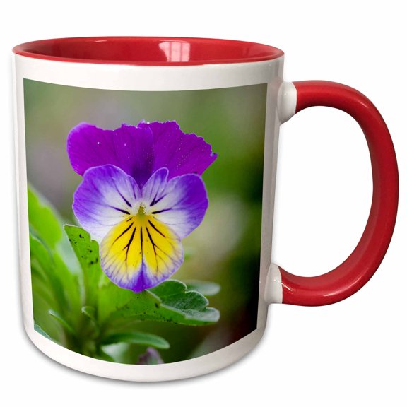 3drose, Wild Pansy. Germany, 11oz Two-tone Red Mug