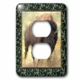 thumbnail image 1 of 3dRose, Winter Buffalo, 2 plug outlet cover, 1 of 1
