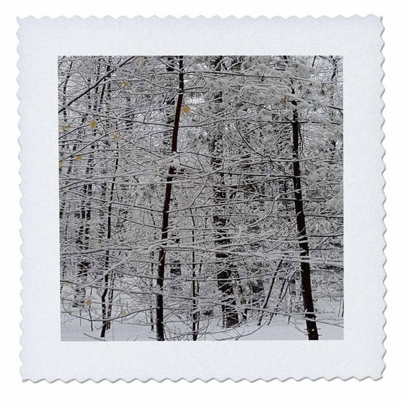 3dRose, Winter Picture Lovely , 8x8 inch quilt square