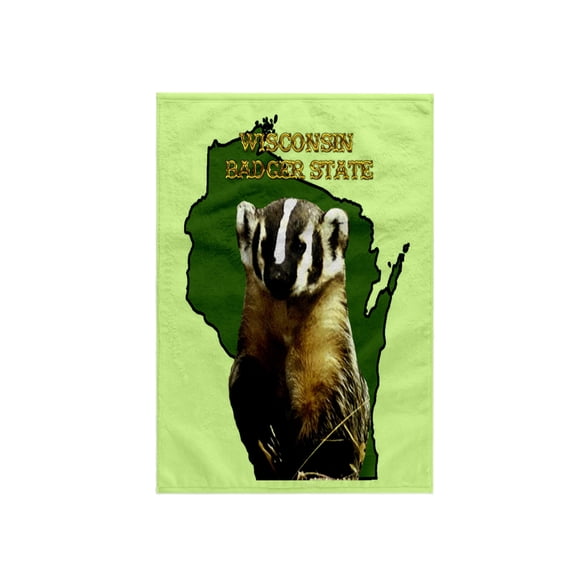 3dRose, Wisconsin Badger State, 15x22 Hand Towel
