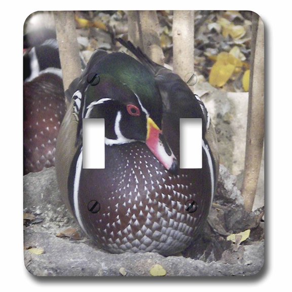 3dRose, Wood Duck male, double toggle switch