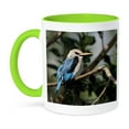 thumbnail image 1 of 3dRose, Woodland Kingfisher bird found in Africa - NA02 AJE0240 - Adam Jones, 15oz Two-Tone Green Mug, 1 of 3