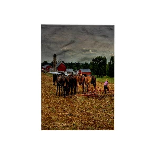 3dRose, Work horses plowing the fields, on a farm, farmer working besides horses, 15x22 Hand Towel