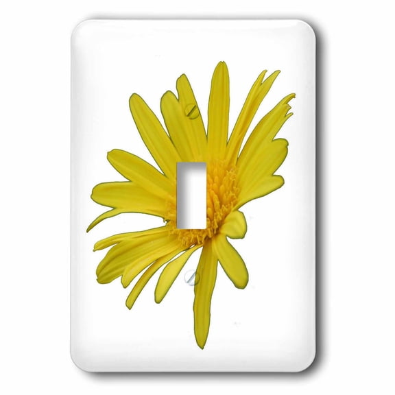 3dRose, Yellow Daisy Flower Isolated, single toggle switch