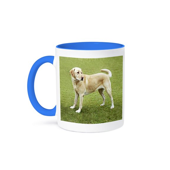 3dRose, Yellow Lab on Lawn, 11oz Two-Tone Blue Mug