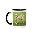 thumbnail image 1 of 3dRose, Yellow Lab on Lawn, 15oz Two-Tone Black Mug, 1 of 7