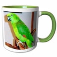 thumbnail image 1 of 3drose, Yellow Nape Parrot, 11oz Two-tone Green Mug, 1 of 6