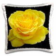 thumbnail image 1 of 3drose, Yellow Rose Close up Photograph Ofyellow Rose of Texas Isolated on Black Background, 16x16 inch Pillow Case, 1 of 5