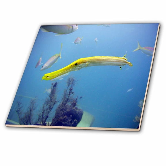 3dRose, Yellow Trumpetfish, 6 Inch Ceramic Tile