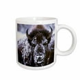thumbnail image 1 of 3drose, Yellowstone Np, Bison in Winter - Us51 Csl0007 - Charles Sleicher, 15oz Mug, 1 of 6
