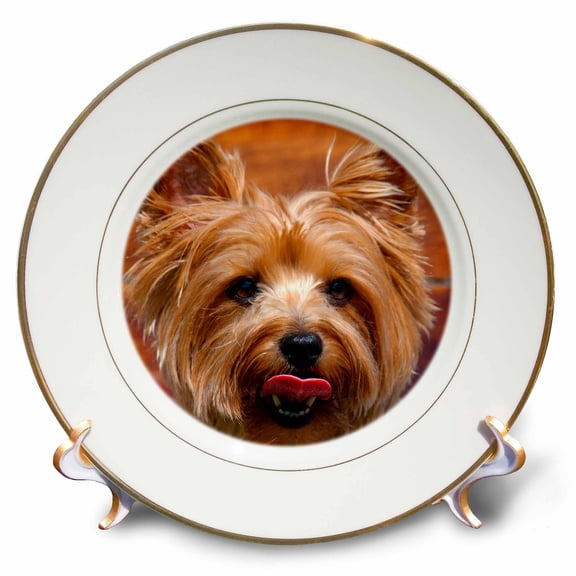 3dRose, Yorkshire Terrier portrait, 8 inch Porcelain Plate