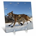 thumbnail image 1 of 3dRose, Yukon Quest Sled Dogs on the Takhini River, 6x6 Desk Clock, 1 of 1