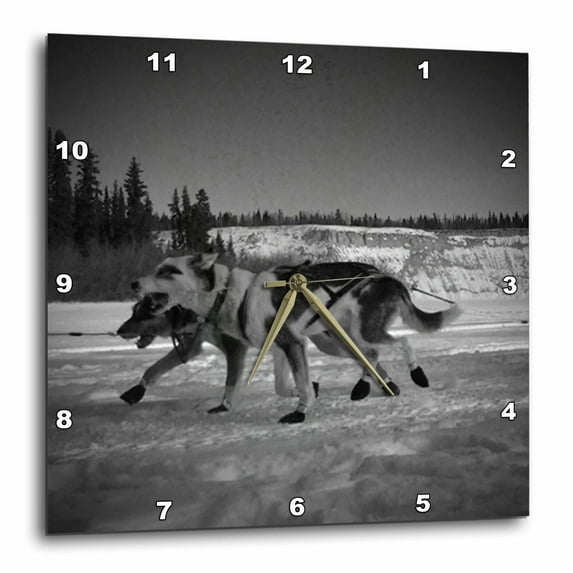 3dRose, Yukon Quest Sled Dogs on the Takhini River Black and White, 10x10 Wall Clock