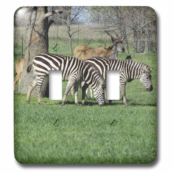 3dRose, Zebras, double toggle switch