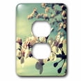 thumbnail image 1 of 3dRose, Zen Flowering Tree- Cherry Blossoms- Flowers- Photography, 2 plug outlet cover, 1 of 1