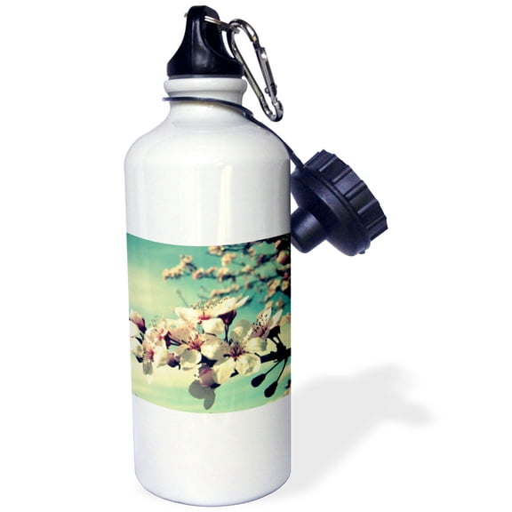 3dRose, Zen Flowering Tree- Cherry Blossoms- Flowers- Photography, 21 oz Sports Water Bottle