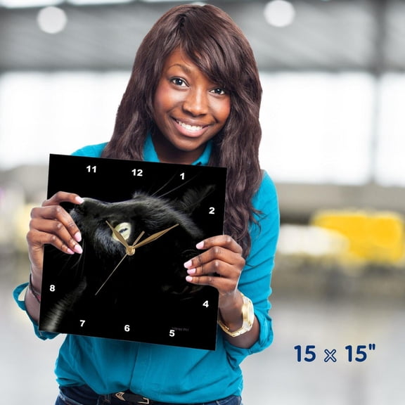3dRose, black cat face, 15x15 Wall Clock