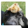 thumbnail image 1 of 3dRose, black dog baby chicken on head, MousePad, 1 of 7