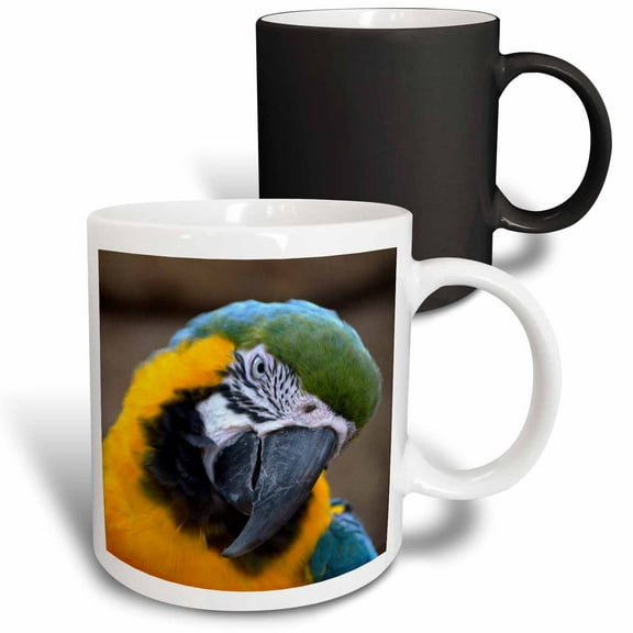 3drose, Blue Gold Parrot Macaw Head Tilted, 11oz Magic Transforming Mug