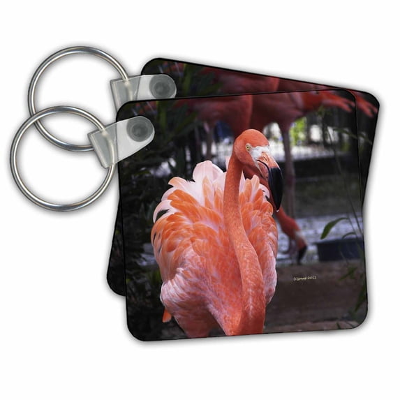 3dRose, cribbean flamingo, set of 2 Key Chains