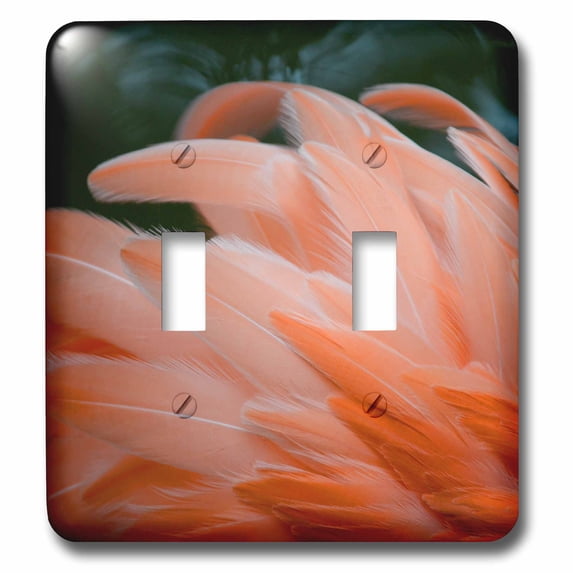 3dRose, flamingo feathers ruffled, double toggle switch