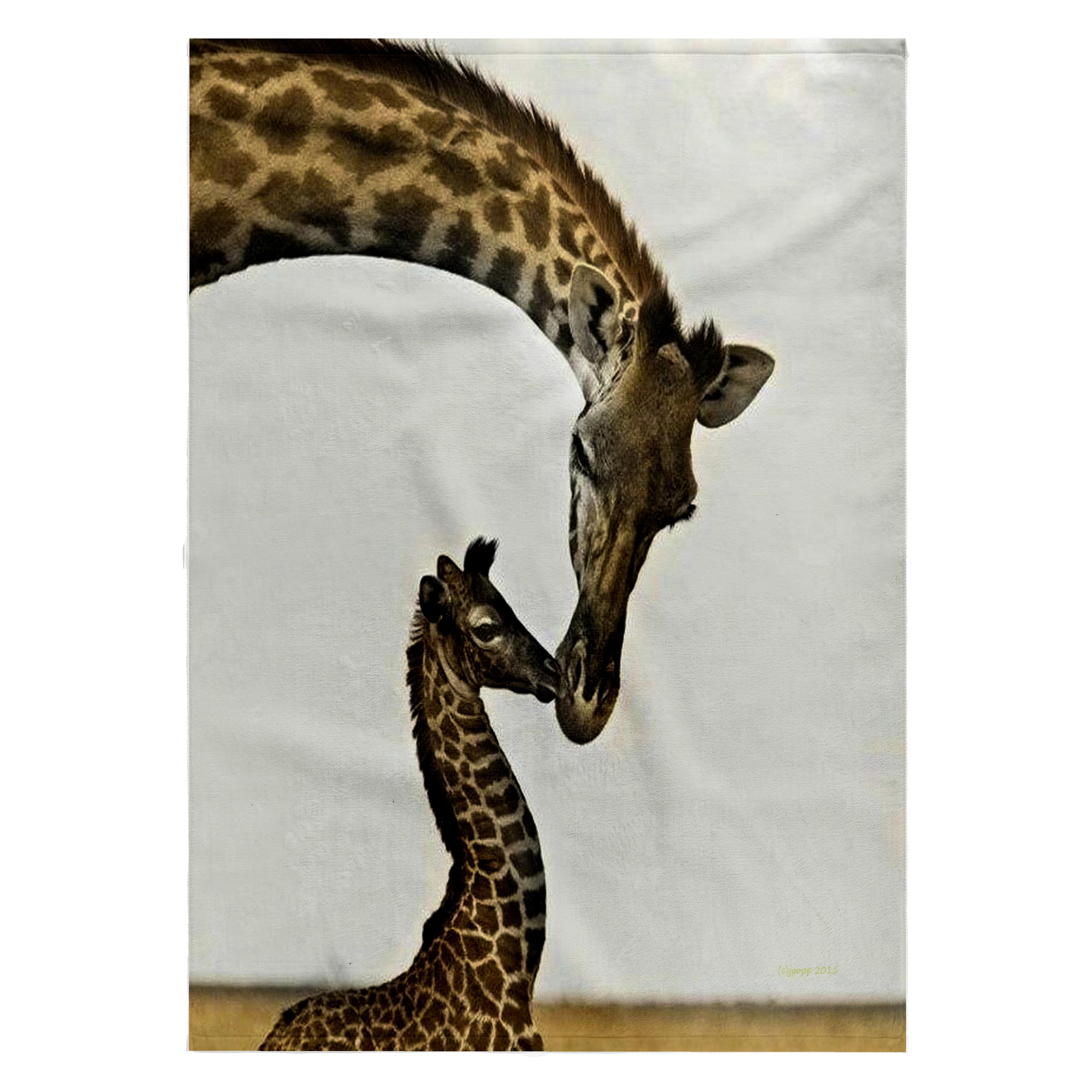3dRose, giraffe mama and baby, 22x30 Bath Hand Pool Towel
