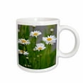 thumbnail image 1 of 3drose, Ilove Spring - White Daisies - Flowers - Photography, 15oz Mug, 1 of 6