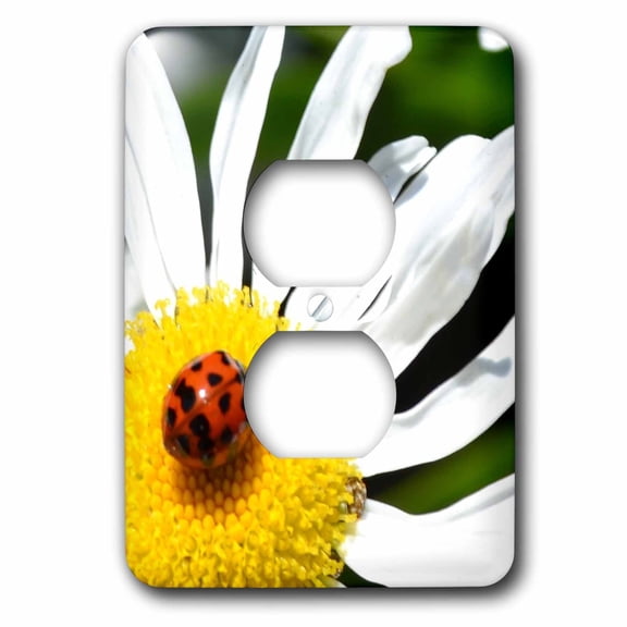 3dRose, ladybug on a daisy II, 2 plug outlet cover