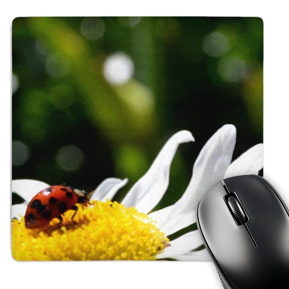 3dRose, ladybug on a daisy, MousePad