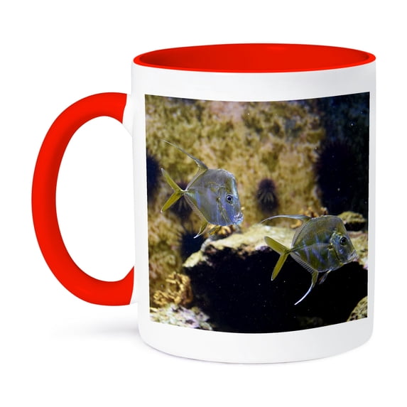 3dRose, lookdown fish swimming in aquarium, 11oz Two-Tone Red Mug