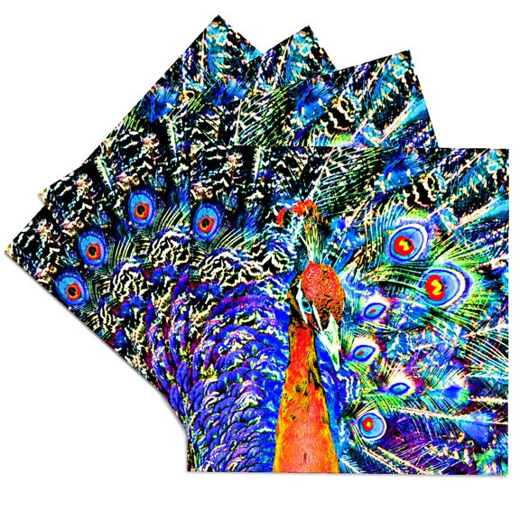 3dRose, peacock and feathers orange artistic graphic c, Set of 4 Ceramic Tile Coasters